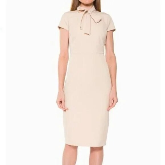 NWT Womens Alexia Admor Cream Neutral Tie Neck Sheath Dress 2 - Picture 1 of 14